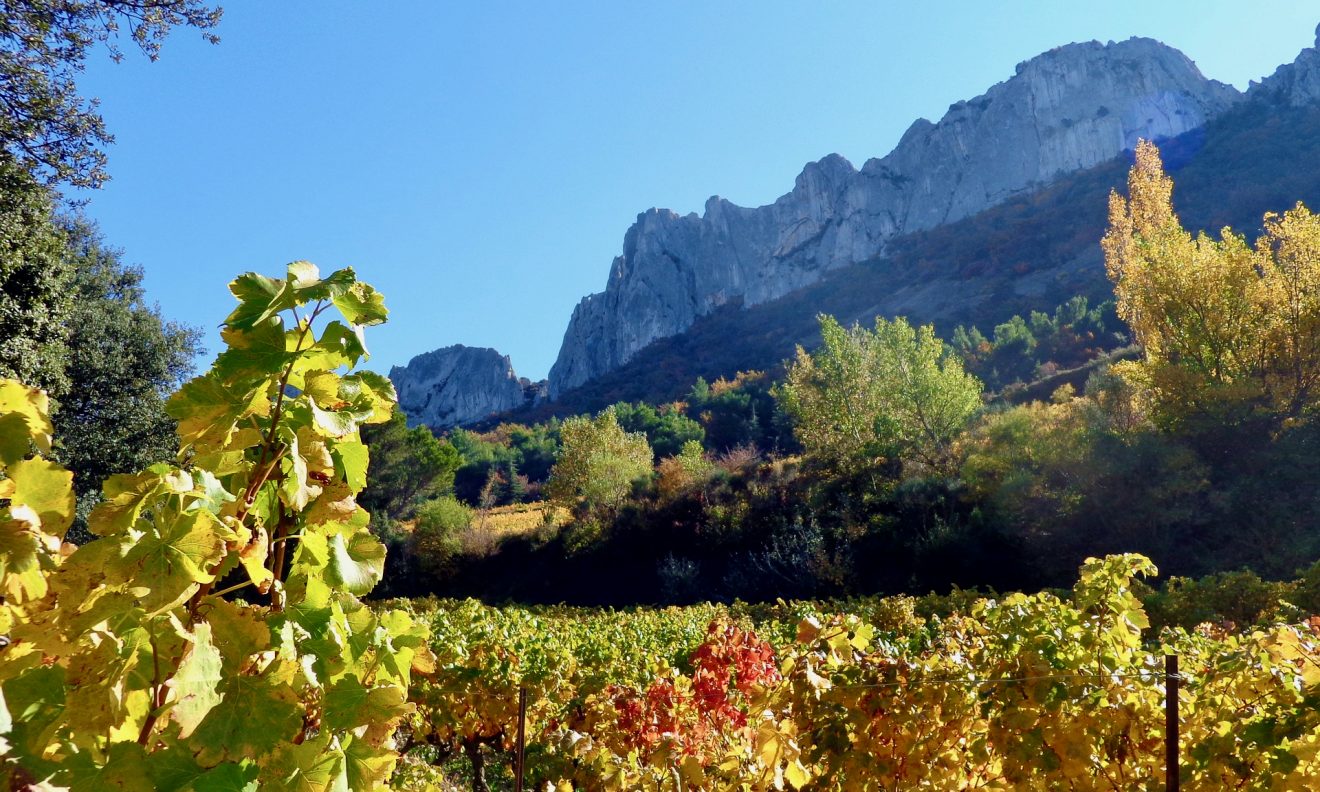 Vine Trail Moulin De La Gardette Gigondas 2021 Tradition