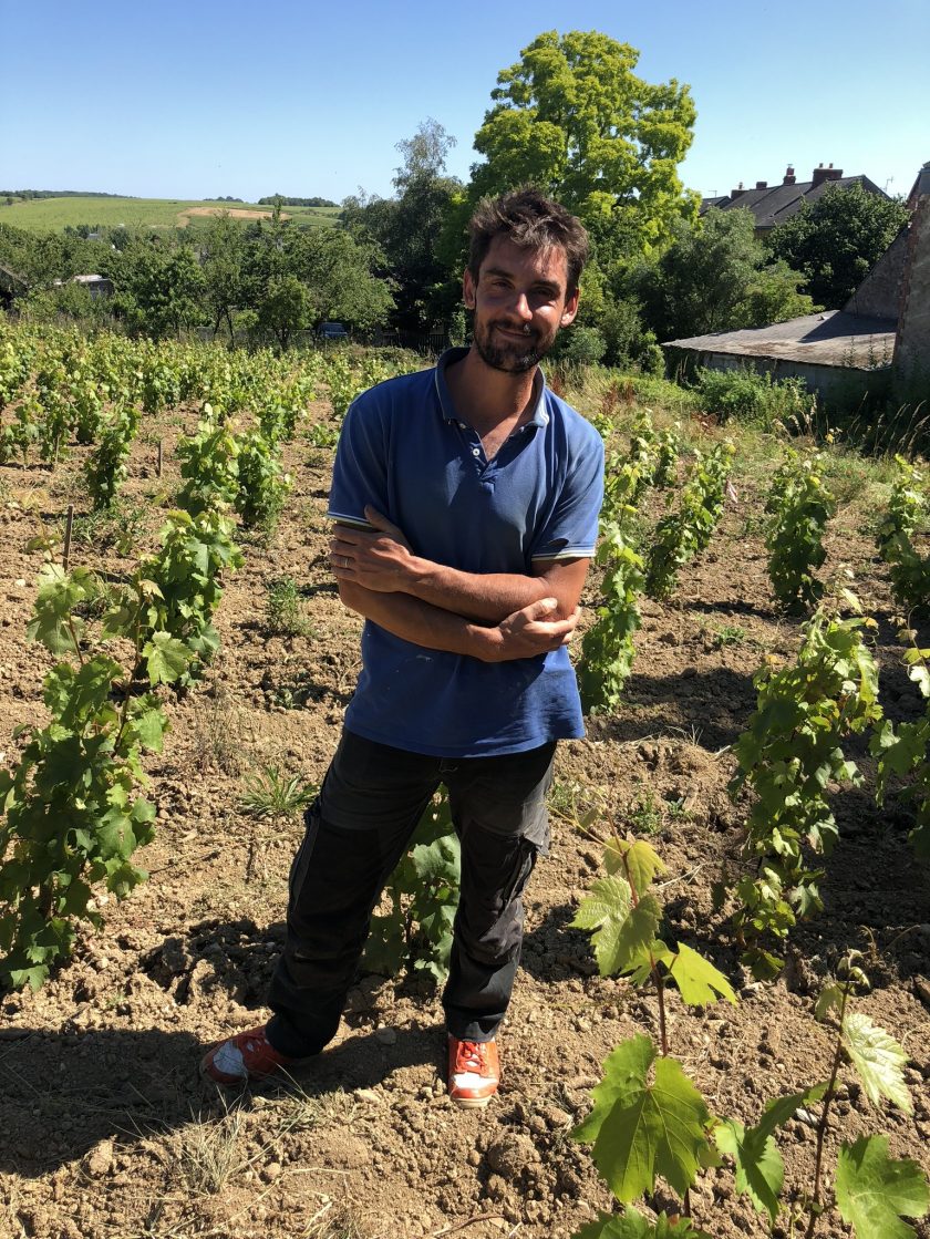 Vine Trail | Thomas Batardière - Les Cocus 2021 - Vin de France